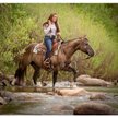 Show in main carousel: Weaver Equine Working Tack Extra Heavy Harness Leather Quick Change Horse Reins slide 2 of 3