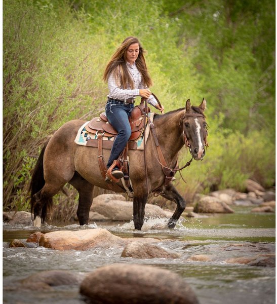 Show full view: Weaver Equine Working Tack Extra Heavy Harness Leather Quick Change Horse Reins slide 3 of 3