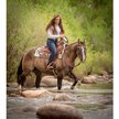 Show in main carousel: Weaver Equine Working Tack Extra Heavy Harness Leather Quick Change Horse Reins slide 3 of 3