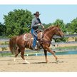 Show in main carousel: Weaver Equine Working Tack Horse Bridle & Ring Snaffle Mouth Bit slide 2 of 2