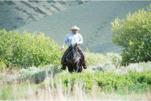 Show full view: Weaver Equine Working Tack Roper Horse Breast Collar slide 4 of 6