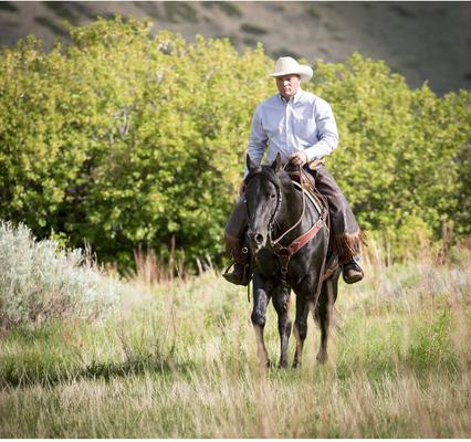 Show full view: Weaver Equine Working Tack Roper Horse Breast Collar slide 5 of 6
