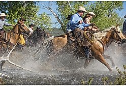 Weaver Equine Working Tack Split Horse Reins, 8-ft x 5/8-in slide 2 of 9