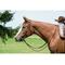 Show in main carousel: Weaver Equine Working Tack Split Horse Reins, 8-ft x 5/8-in slide 6 of 9