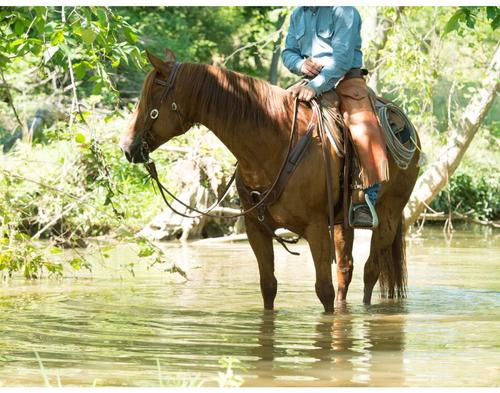 Show full view: Weaver Equine Working Tack Split Horse Reins, 8-ft x 5/8-in slide 7 of 9