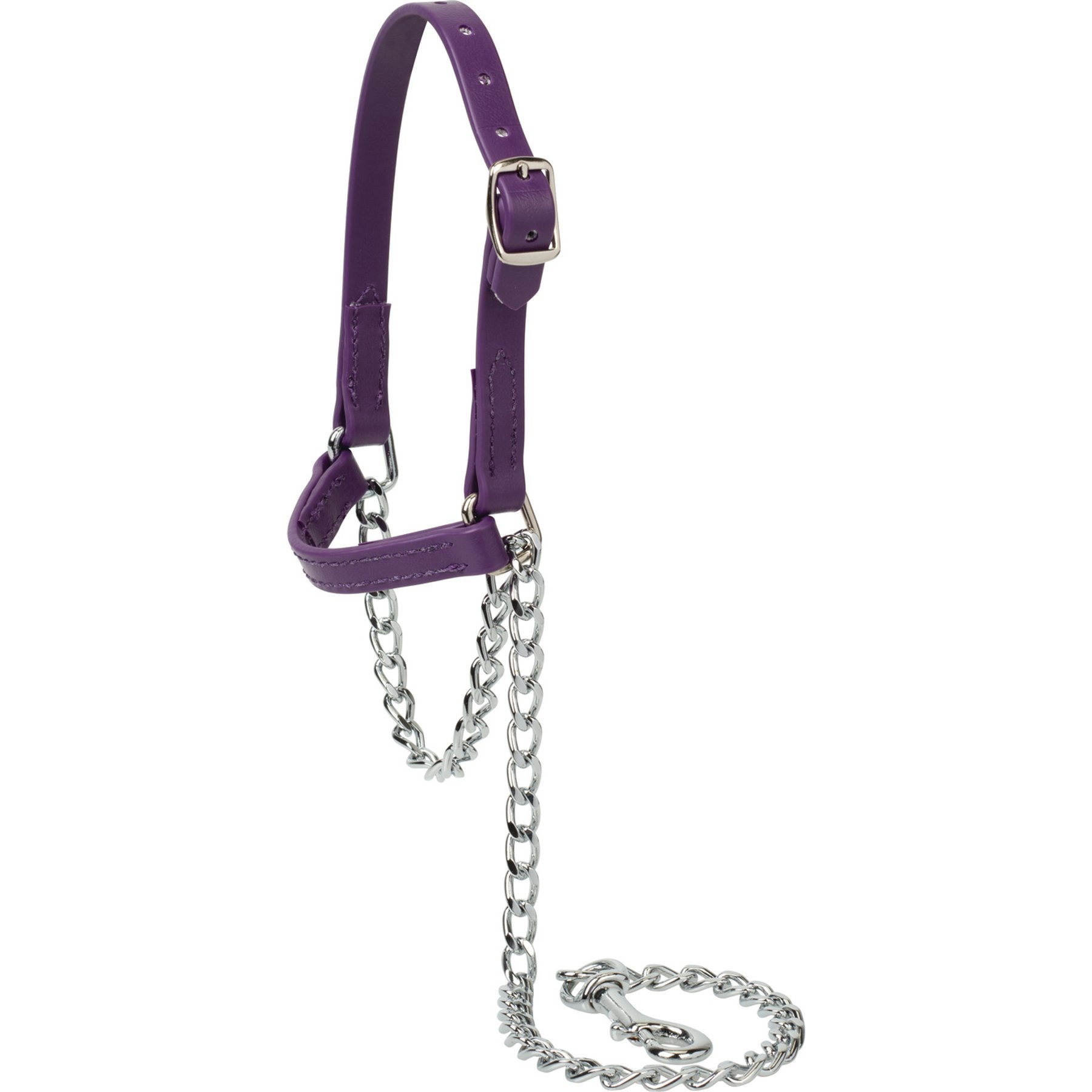 Weaver Livestock Brahma Webb Sheep & Goat Halter, Purple, Medium
