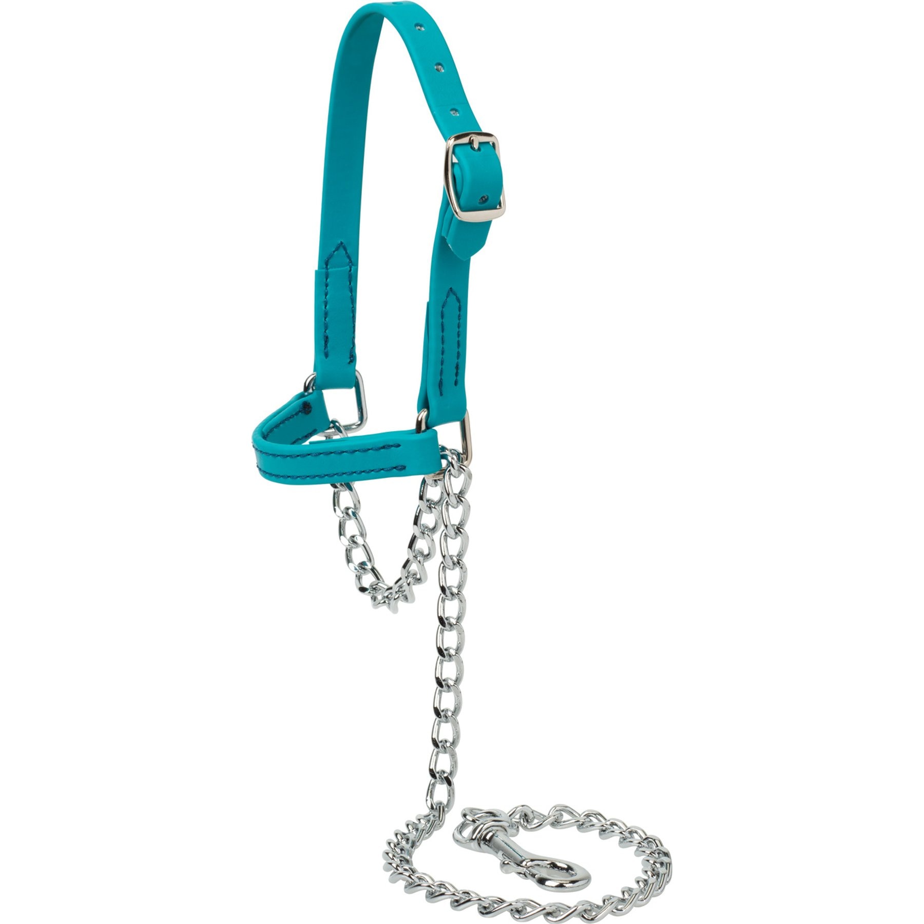 Weaver Livestock Brahma Webb Sheep & Goat Halter, Teal, Small