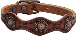 Weaver Pet Sundance Leather Dog Collar, 17 - 20 in, 1-in