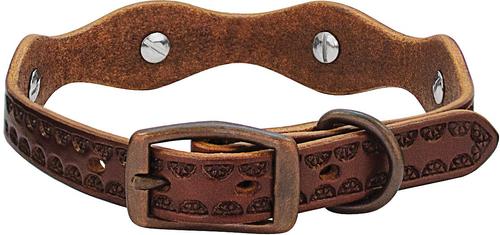 Show full view: Weaver Pet Sundance Leather Dog Collar, 17 - 20 in, 1-in slide 2 of 5