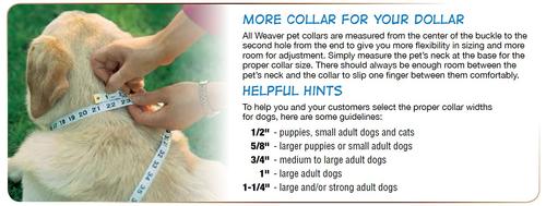 Show full view: Weaver Pet Sundance Leather Dog Collar, 17 - 20 in, 1-in slide 3 of 5