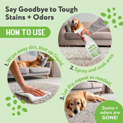 Show full view: Wee Away X2 Concentrated Urine Stain & Odor Remover Green Tea Scented Bio-Enzymatic Cleaner for Dogs, 16-fl oz spray slide 8 of 9