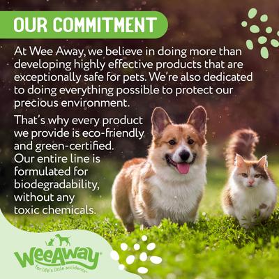 Show full view: Wee Away X2 Concentrated Urine Stain & Odor Remover Green Tea Scented Bio-Enzymatic Cleaner for Dogs, 16-fl oz spray slide 4 of 9