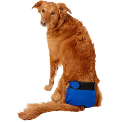 Show full view: Wee-Wee Disposable Dog Diaper Super Absorbent Liner Pads, 10 count slide 8 of 11