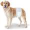 Show in main carousel: Wee-Wee Disposable Male Dog Wraps, Medium/Large: 23 to 31-in waist, 36 count slide 1 of 12