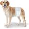 Show in main carousel: Wee-Wee Disposable Male Dog Wraps, Medium/Large: 23 to 31-in waist, 36 count slide 6 of 12