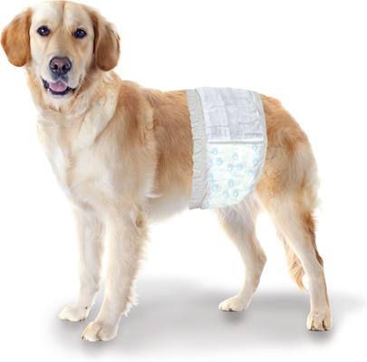 Show full view: Wee-Wee Disposable Male Dog Wraps, Medium/Large: 23 to 31-in waist, 36 count slide 6 of 12
