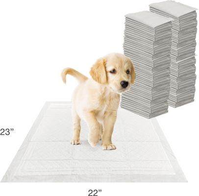 Show full view: Wee-Wee Super Absorbent Dog Pee Pads with Insta-Rise Border, 22 x 23-in, 100 count slide 8 of 13