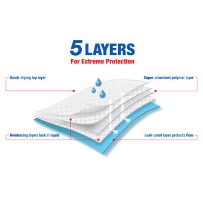 Show full view: Wee-Wee Super Absorbent Pee Pads, 24x24-in, 75 count + Cadet Gourmet Rawhide & Duck Twist Dog Treats slide 5 of 9