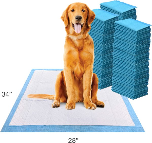 Wee-Wee Superior Performance Dog Pee Pads