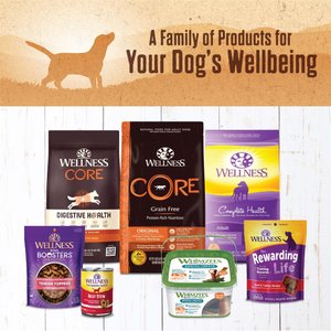 Wellness 95% Whitefish Natural Grain-Free Wet Dog Food Topper, 13.2-oz can, case of 12