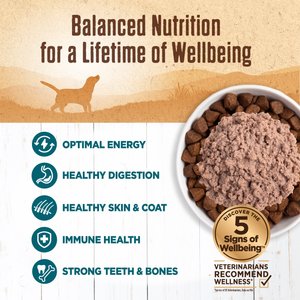 Wellness 95% Whitefish Natural Grain-Free Wet Dog Food Topper, 13.2-oz can, case of 12