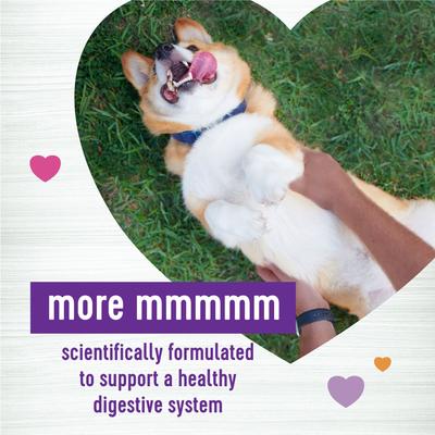 Show full view: Wellness Belly Digestive Health Support Pumpkin Flavor Chew Supplements + CORE Wholesome Grains Chicken & Brown Rice Recipe Small Breed Dry Dog Food slide 3 of 9