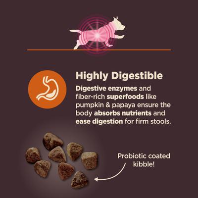 Show full view: Wellness Belly Digestive Health Support Pumpkin Flavor Chew Supplements + CORE Wholesome Grains Chicken & Brown Rice Recipe Small Breed Dry Dog Food slide 9 of 9