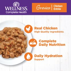 Wellness Bowl Boosters Flaked Salmon & Tuna Wet Cat Topper, 1.75-oz pouch, case of 12 slide 2 of 8