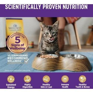 Show full view: Wellness Bowl Boosters Shredded Chicken Wet Cat Topper, 1.75-oz pouch, case of 12 slide 5 of 11