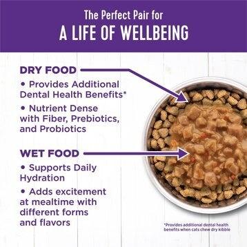 Show full view: Wellness Bowl Boosters Shredded Chicken Wet Cat Topper, 1.75-oz pouch, case of 12 slide 6 of 11