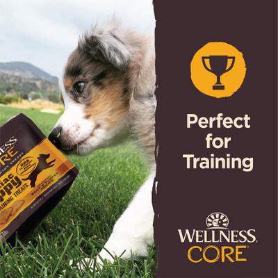 Show full view: Wellness CORE Brainiac Puppy Beef & Turkey Training Soft Dog Treats, 5-oz bag slide 5 of 12
