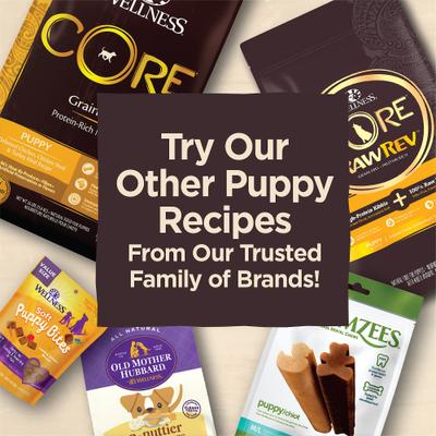 Show full view: Wellness CORE Brainiac Puppy Beef & Turkey Training Soft Dog Treats, 5-oz bag slide 7 of 12