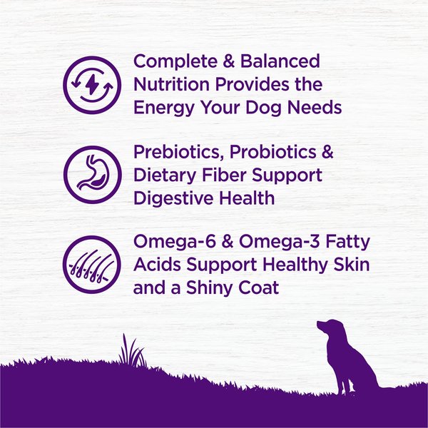 Wellness Complete Health Adult Lamb & Barley Recipe Natural Dry Dog Food