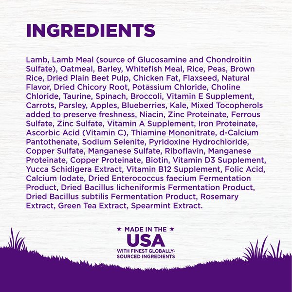Wellness Complete Health Adult Lamb & Barley Recipe Natural Dry Dog Food