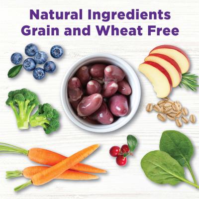 Show full view: Wellness Complete Health Adult Whitefish & Sweet Potato Recipe Dry Food + CORE Bowl Boosters Heart Health Dry Dog Food Topper slide 9 of 9