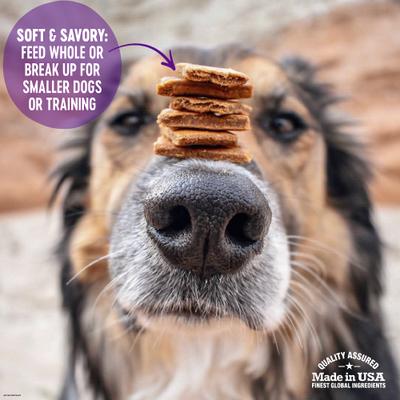 Show full view: Wellness Complete Health Adult Whitefish & Sweet Potato Recipe Dry Food + WellBites Lamb & Salmon Recipe Soft & Chewy Grain-Free Dog Treats slide 8 of 9