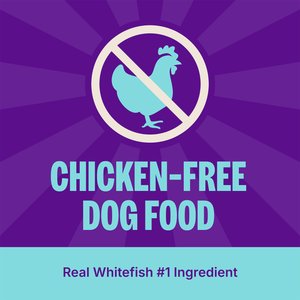 Wellness Complete Health Adult Wholesome Grains Natural Whitefish & Sweet Potato Dry Dog Food, 30-lb bag