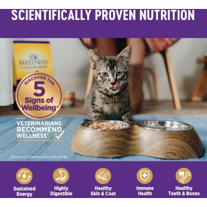 Wellness Complete Health Age Advantage Chicken Pate Wet Cat Food, 3-oz can, 24 count