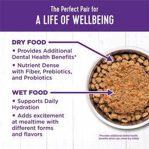 Wellness Complete Health Age Advantage Chicken Pate Wet Cat Food, 3-oz can, 24 count