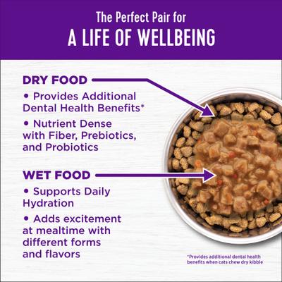 Show full view: Wellness Complete Health Chicken & Rice Dry Cat Food, 5-lb bag slide 4 of 11