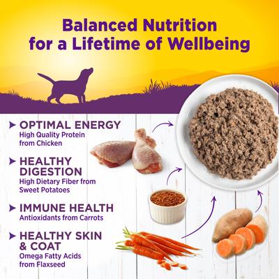 Show full view: Wellness Complete Health Chicken & Sweet Potato Formula Natural Canned Dog Food, 12.5-oz, case of 12 slide 5 of 11