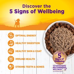 Wellness Complete Health Just for Puppy Canned Dog Food, 12.5-oz, case of 12 slide 2 of 6