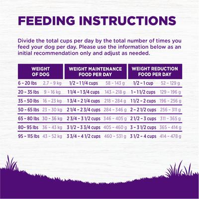 Show full view: Wellness Complete Health Natural Adult Healthy Weight Chicken & Peas Dry Dog Food, 24-lb bag slide 10 of 11