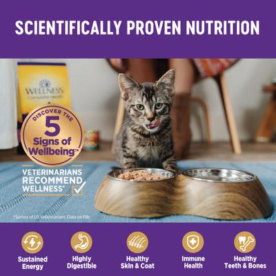 Show full view: Wellness Complete Health Natural Grain-Free Gravies Salmon Entree Canned Cat Food, 3-oz, case of 12 slide 5 of 11
