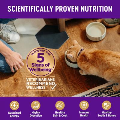 Show full view: Wellness Complete Health Natural Grain-Free Salmon & Herring Dry Cat Food, 5.5-lb bag slide 5 of 11