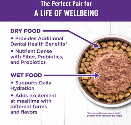 Show full view: Wellness Complete Health Pate Chicken Entree Grain-Free Canned Cat Food, 12.5-oz, case of 12 + Wellness Complete Health Natural Grain-Free Salmon & Herring Dry Cat Food, 11.5-lb bag slide 4 of 9