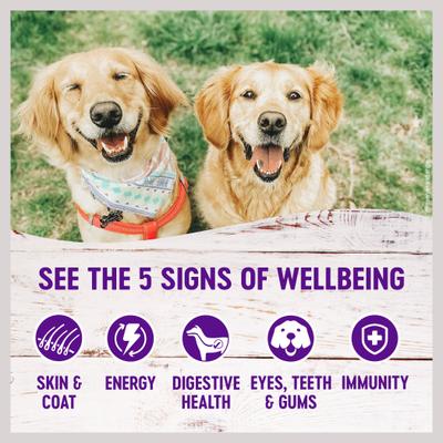 Show full view: Wellness Complete Health Pate Variety Pack Wet Dog Food, 12.5-oz can, case of 6 slide 5 of 12