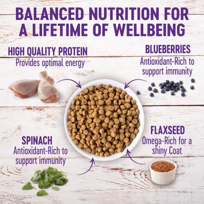 Show full view: Wellness Complete Health Puppy Deboned Chicken, Oatmeal & Salmon Meal Recipe Dry Dog Food, 30-lb bag + Wellness Complete Health Just for Puppy Canned Dog Food, 12.5-oz, case of 12 slide 8 of 9