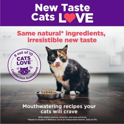 Show full view: Wellness Complete Health Salmon Adult Dry Cat Food, 5-lb bag slide 7 of 11