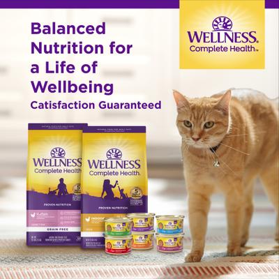 Show full view: Wellness Complete Health Salmon Adult Dry Cat Food, 5-lb bag slide 8 of 11